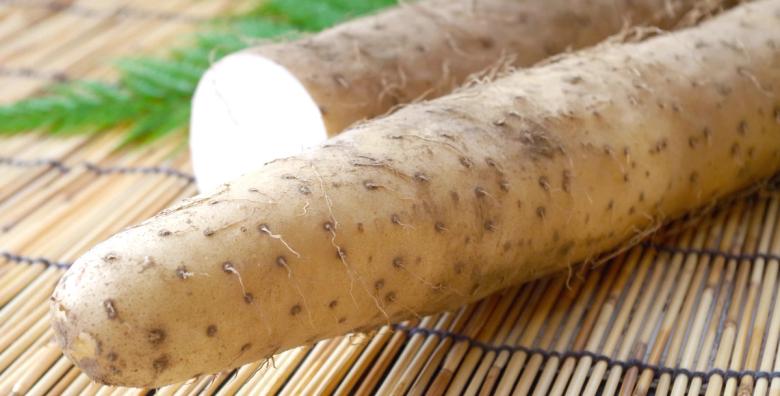 Fresh burdock root on bamboo mat with white flesh exposed from cut end