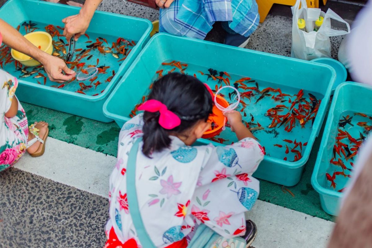 Child examining dried red chilies in turquoise bins at food market or educational event