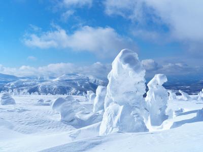 Snow-covered trees and winter landscape on mountain peak with blue sky