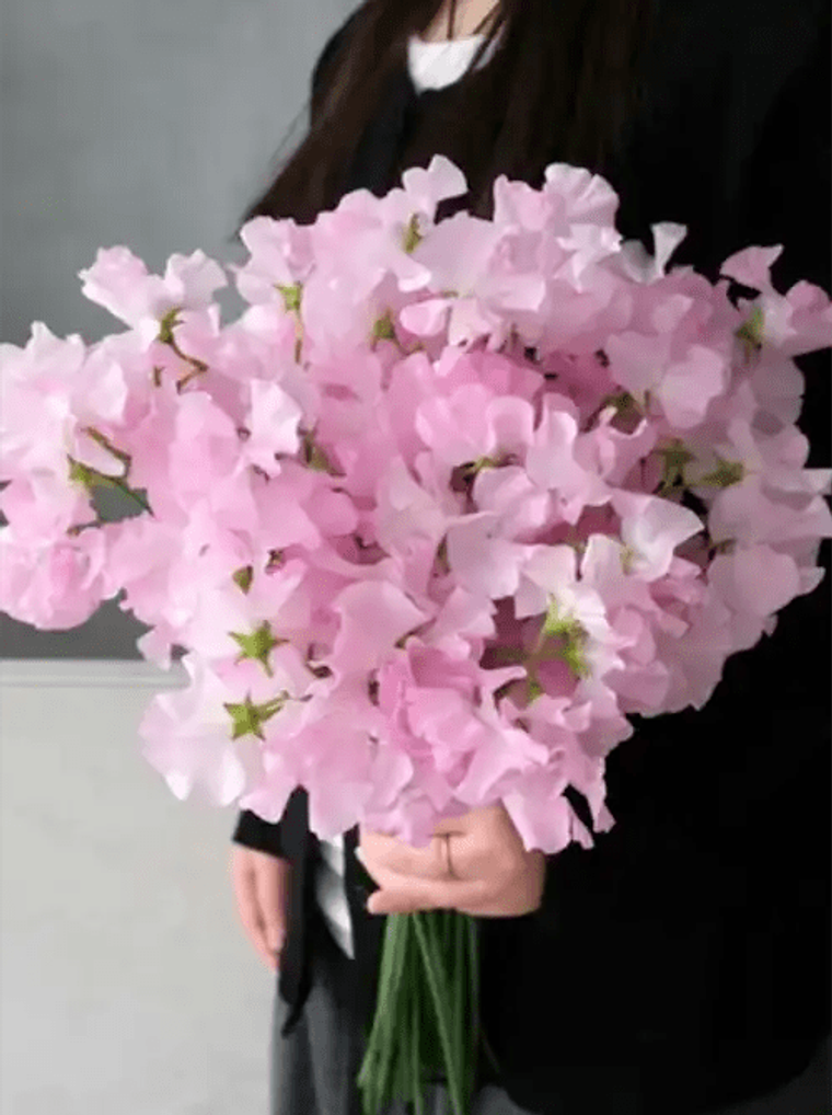 Woman in black holding large bouquet of pink sweet pea flowers with green stems