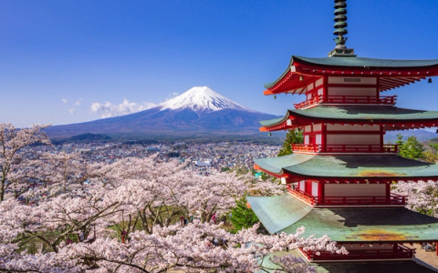 Mount Fuji with cherry blossoms and red Japanese pagoda in spring landscape