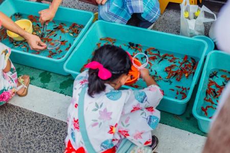 Child observing red peppers in turquoise bins at educational food demonstration