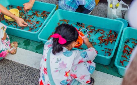 Child observing red peppers in turquoise bins at educational food demonstration