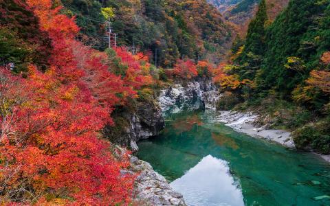 # Alt Text

Autumn mountain gorge with vibrant red foliage, emerald river, and traditional power lines