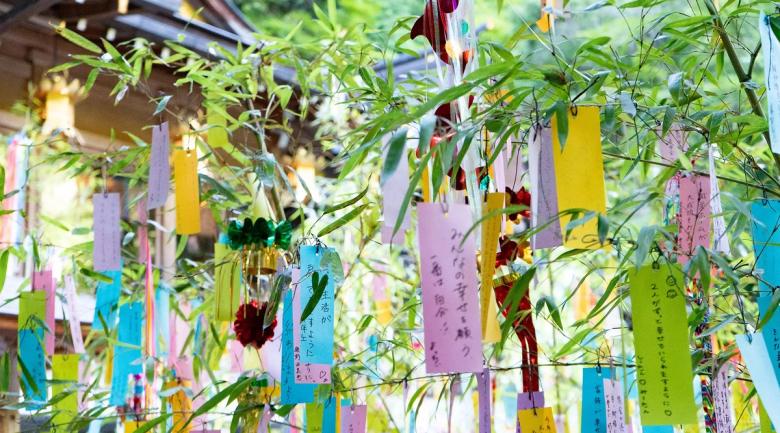 Colorful wish tags hanging from tree branches at Japanese shrine or festival
