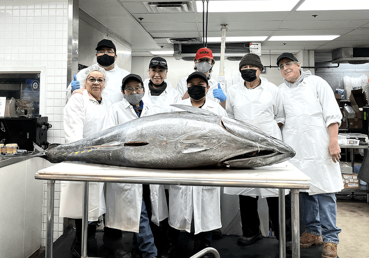 Professional chefs with large fresh tuna in commercial kitchen, wearing white coats and masks
