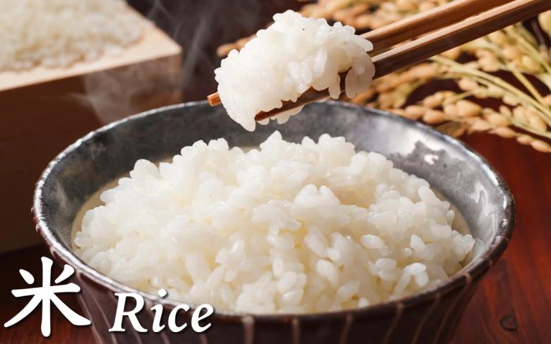 Cooked white rice in bowl with chopsticks, rice grains, and dried rice stalks