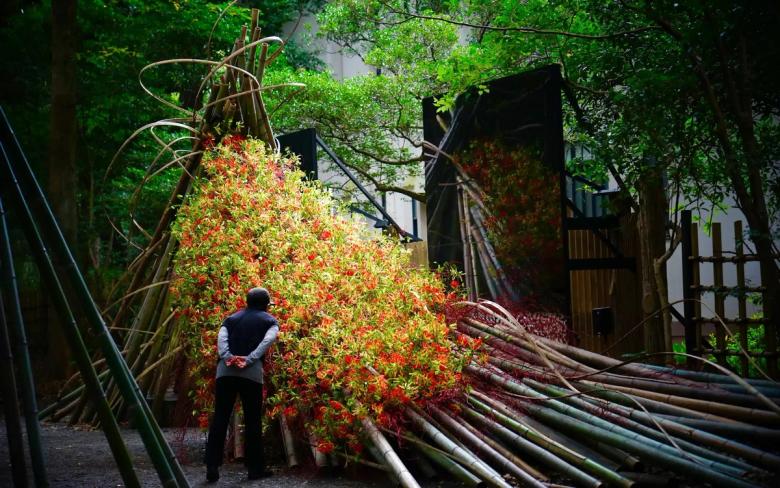 Person examining large display of red chili peppers in traditional wooden structure surrounded by greenery