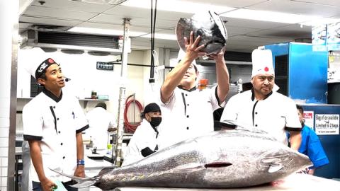 Chefs displaying large fresh tuna fish in professional kitchen