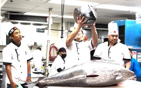Chefs displaying large fresh tuna fish in professional kitchen