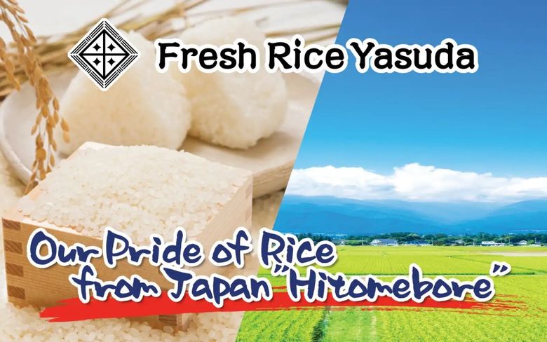 Fresh Rice Yasuda Japanese premium rice from Hiroshima with rice grains and paddies