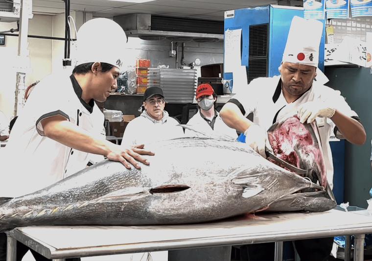 Five workers in white chef uniforms processing large fresh tuna fish in commercial kitchen