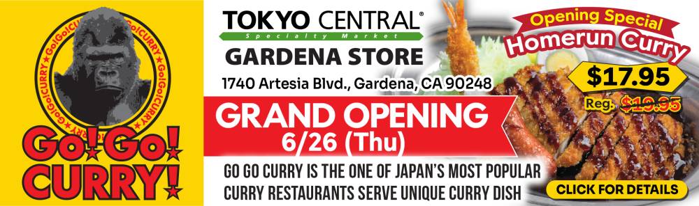 Go Go Curry — Now Open