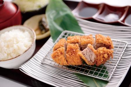 Tonkatsu with rice, served on decorative plate with green leaf garnish
