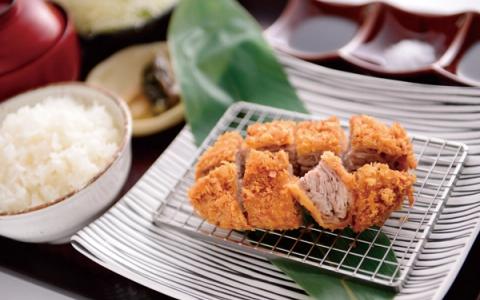 Tonkatsu with rice, served on decorative plate with green leaf garnish