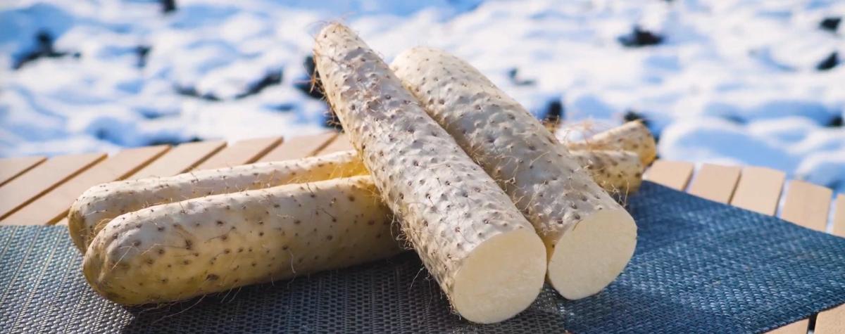 Daikon radish cut into sections displayed on blue and beige surface
