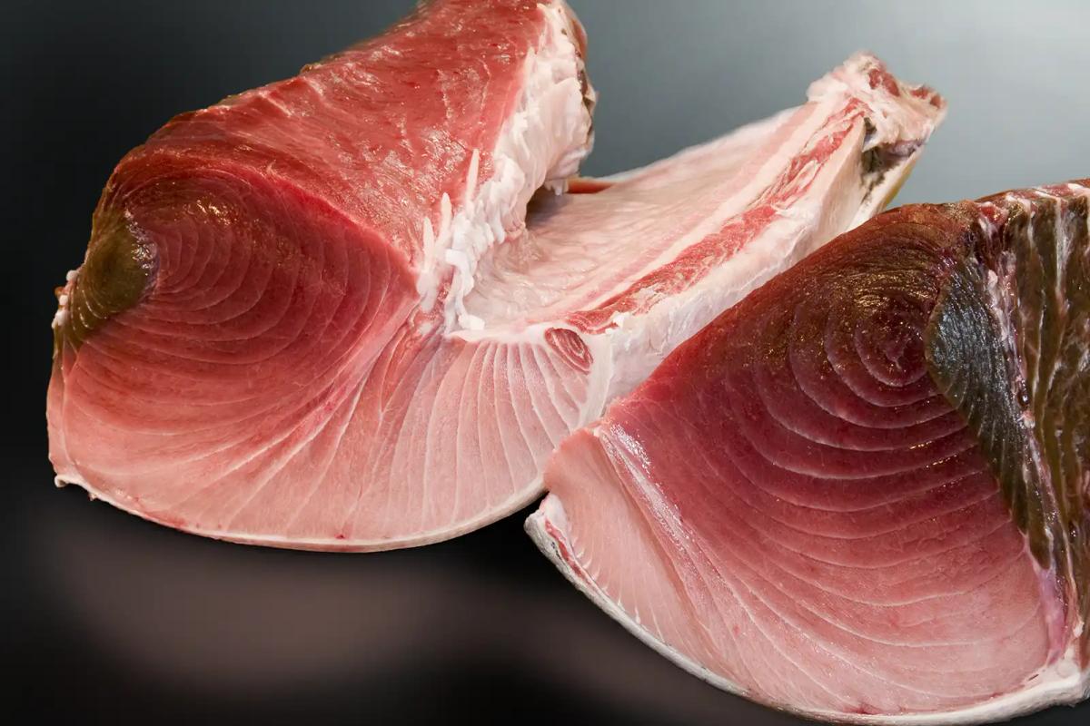 Tuna