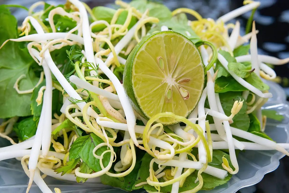Fresh lime slice garnish on Asian noodle salad with cilantro and bean sprouts