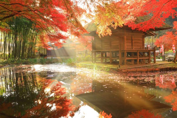 Japanese Fair: Tohoku Fair 2026