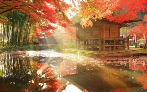 Japanese Fair: Tohoku Fair 2026