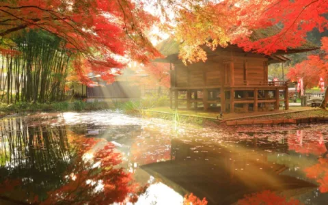 Traditional wooden temple in Tohoku surrounded by vibrant autumn foliage and a tranquil reflective pond