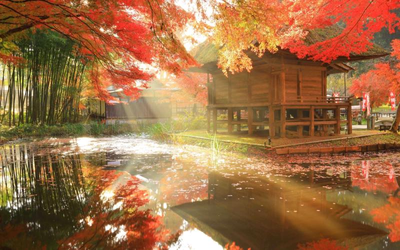 Japanese Fair: Tohoku Fair 2026