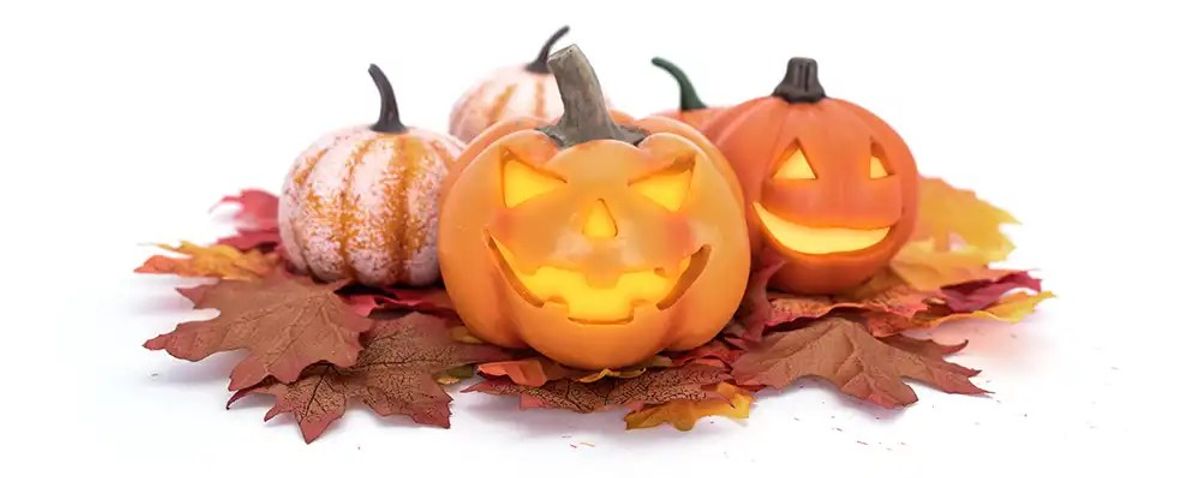 Three carved jack-o'-lantern pumpkins with autumn leaves on white background